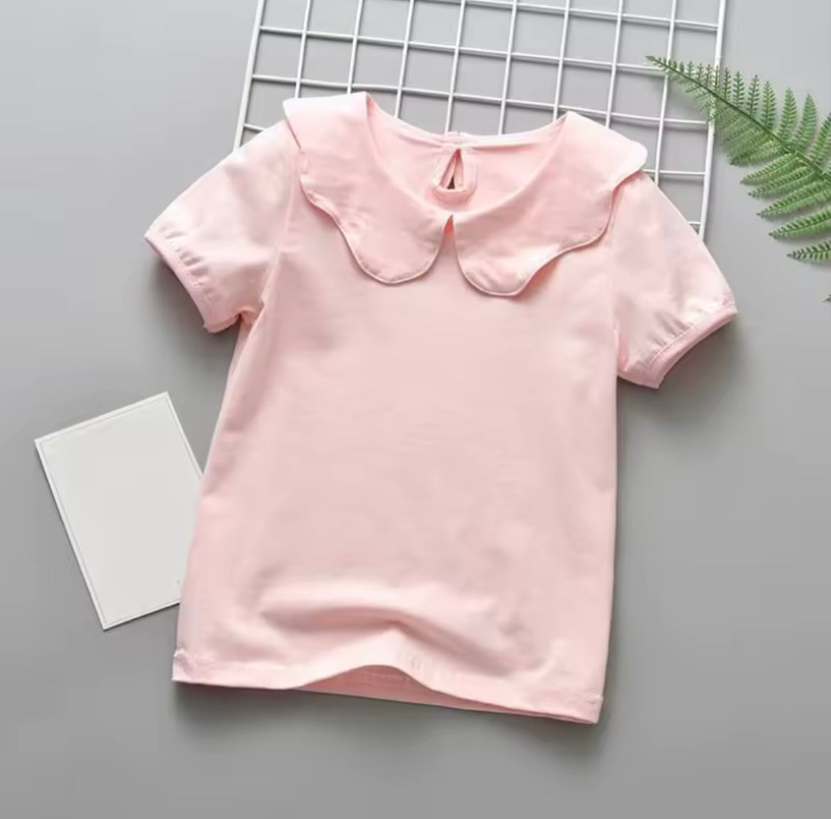 Short Sleeve Collar Top