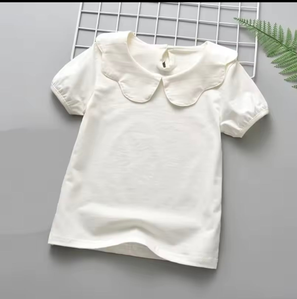 Short Sleeve Collar Top