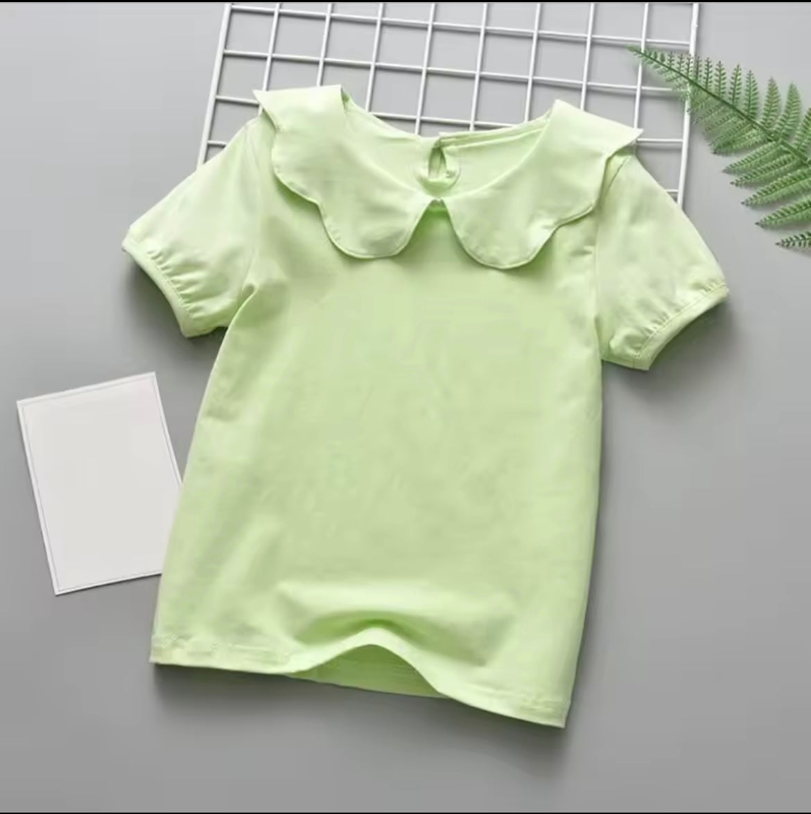 Short Sleeve Collar Top