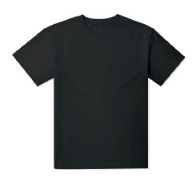 Adult T-shirt