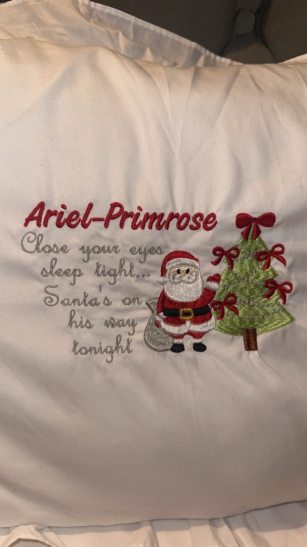 Festive cushion/pillow case