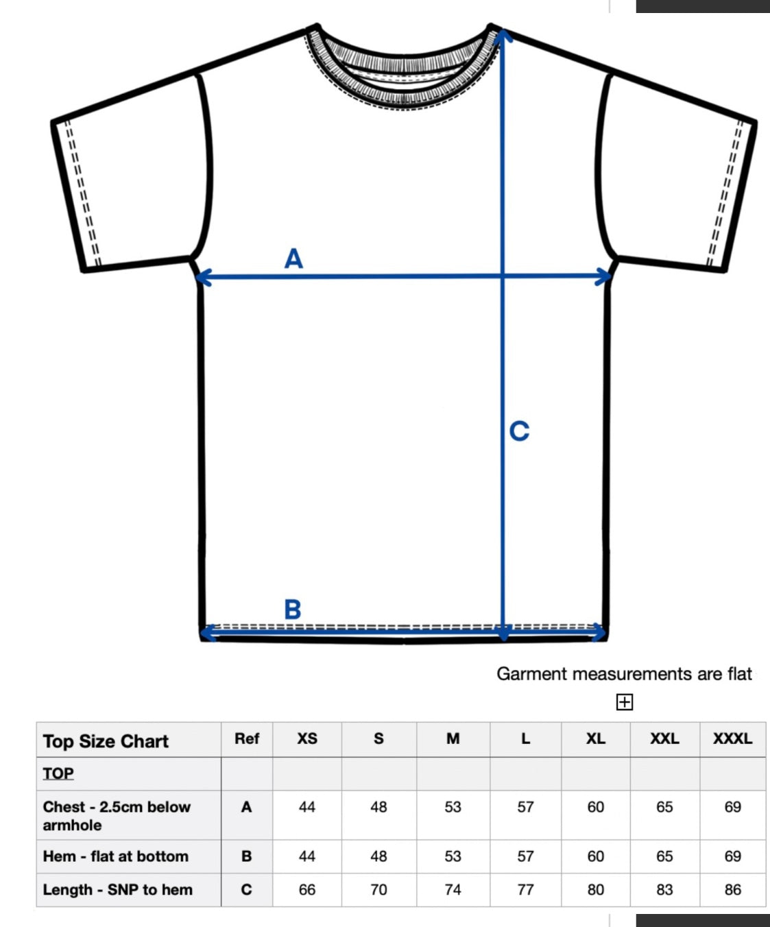 Adult T-shirt