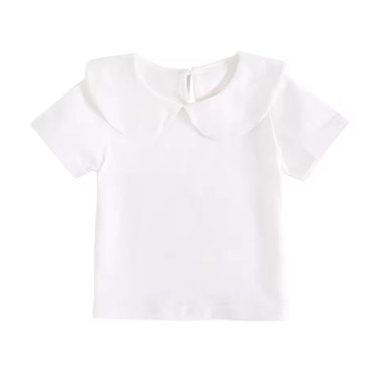 Short Sleeve Collar Top